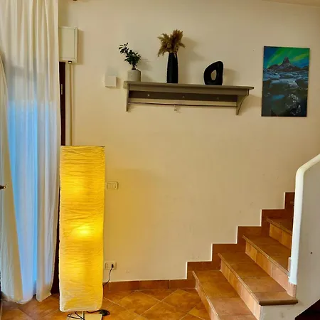 Pinohaus Ladispoli