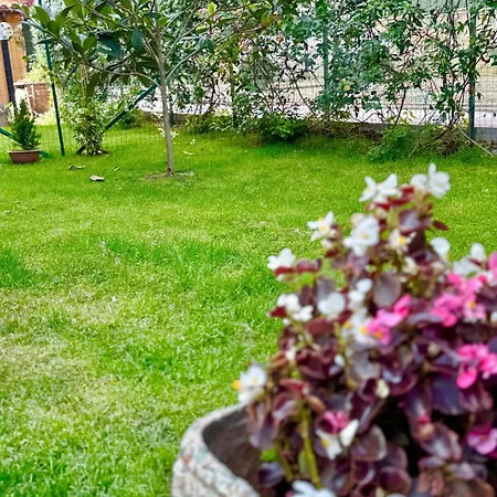 Pinohaus Ladispoli
