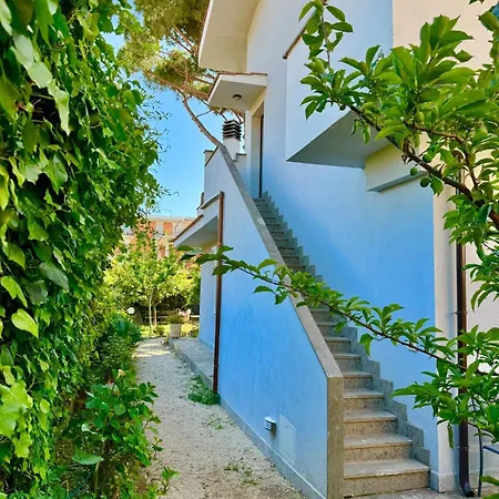 Pinohaus *