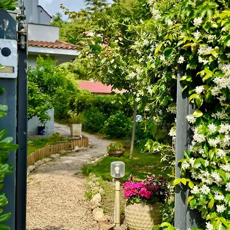 Holiday home Pinohaus