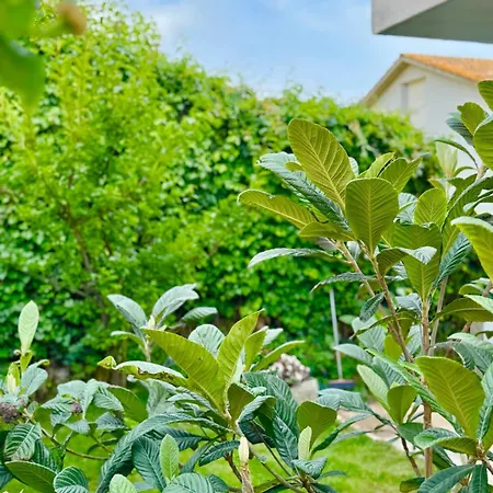Pinohaus Holiday home Ladispoli